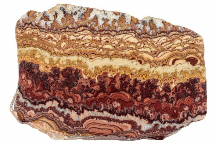 Polished Slab Of Rolling Hills Dolomite - Mexico #282167